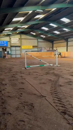 🐎
