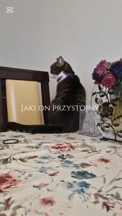 jaka ona przystojna