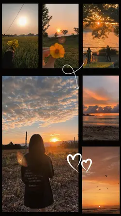 sunsets