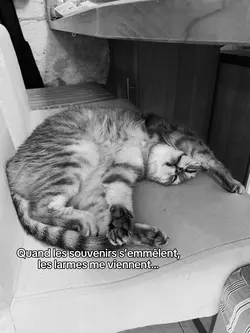 Les larmes… 😭