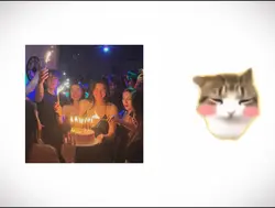 Cat Trend