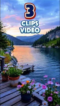3 clips or video