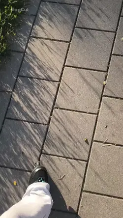 rolki