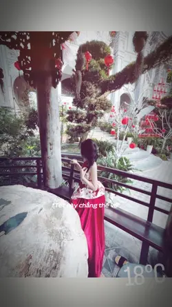 Tết này chẳng thể về