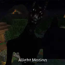 STALKER HEAD BOP