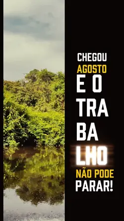Chegou Agosto