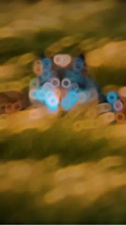 Trend song+Slowmo HD