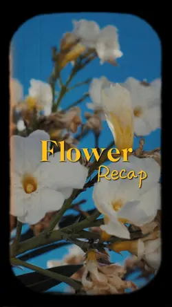 Flower Recap