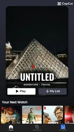 NETFLIX POSTER