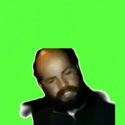4 șobolani