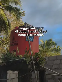 timbangane biduren 