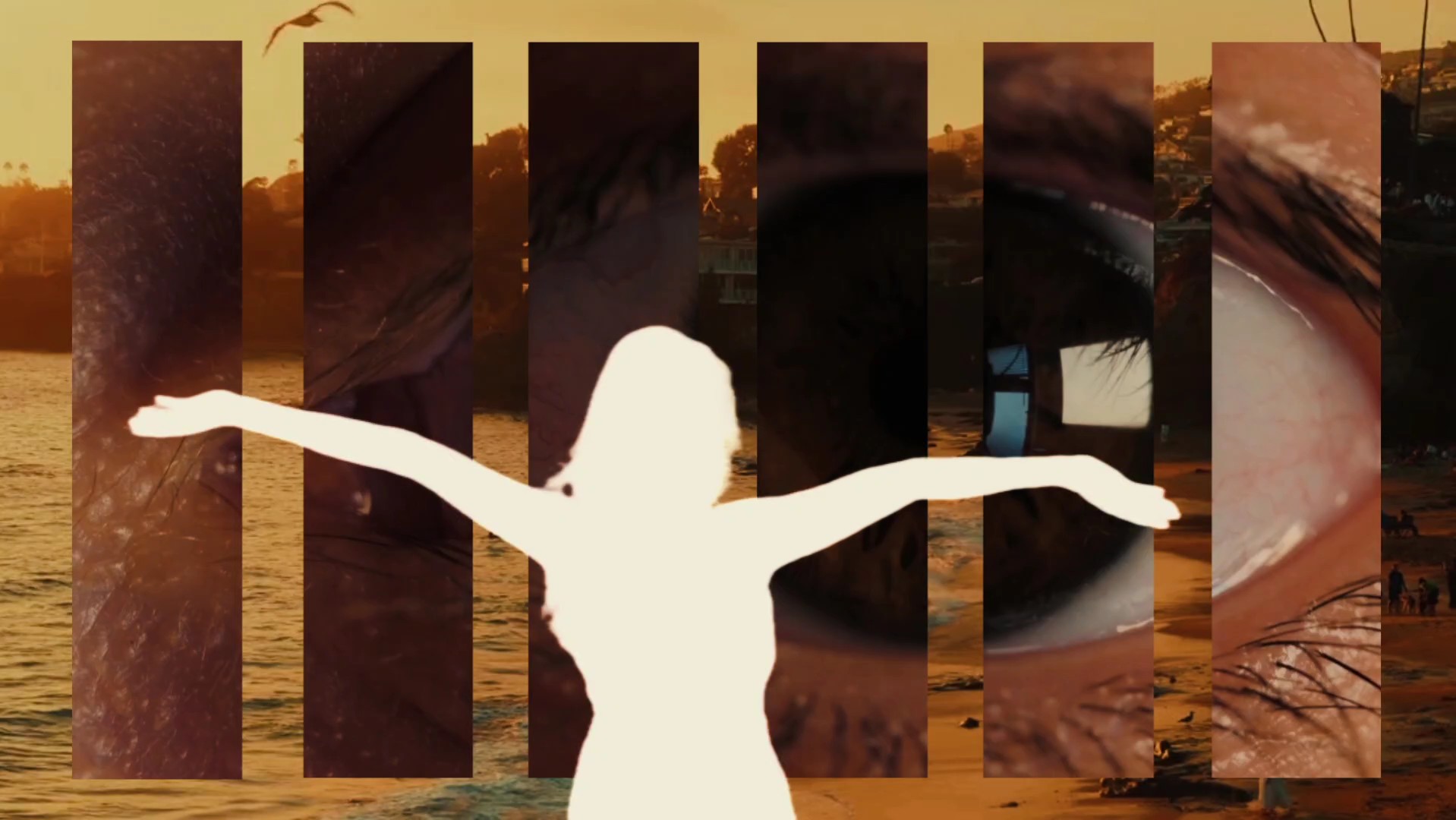 Earth Animation Template - Pippit