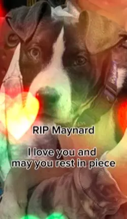 RIP buddy