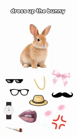 dress up bunny
