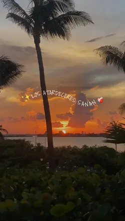 Atardecer☀️🤍🌴