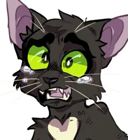 Raven Paw edit 