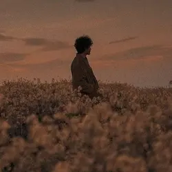 aesthetic 