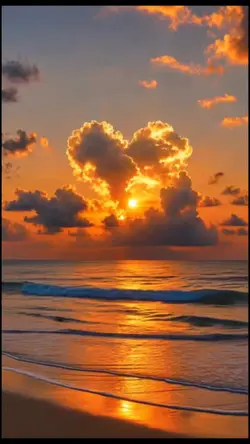 Sunset Love 