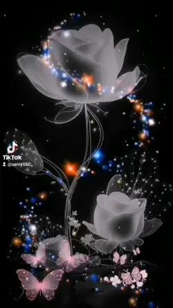 Feliz noche 