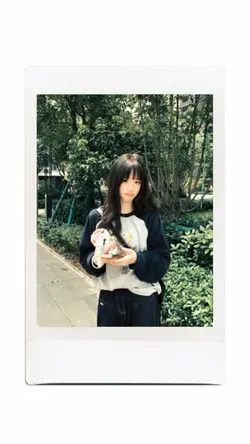 polaroid