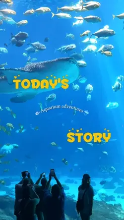 aquarium adventures