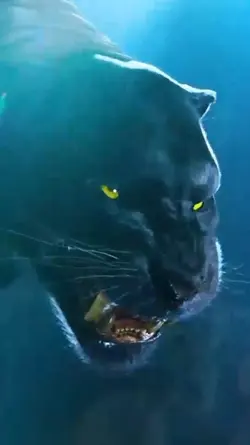 Black Panther 