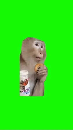 Shocked Monkey