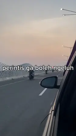 Perintis