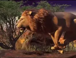Aslan1