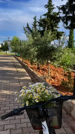 mini vlog