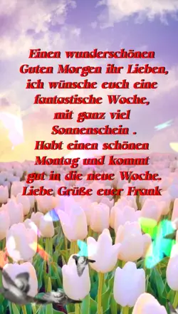 Morgengruß 
