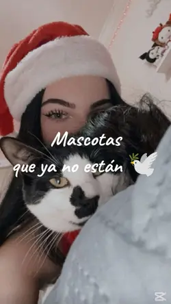 mascotas en el cielo