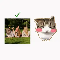 Dam dam di di cat