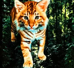 Ai Morph