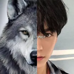 alpha wolf pfp free