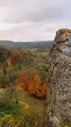 this view 