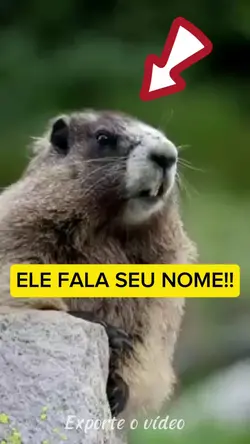 Ele Fala seu nome
