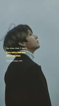 The Truth Untold BTS