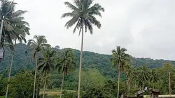 Salam ki omie iyan