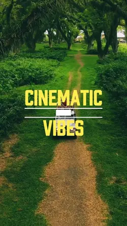 CINEMATIC VIBES