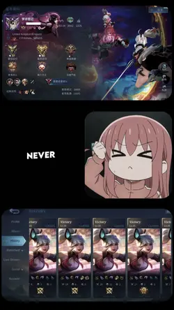 Mlbb profile&history