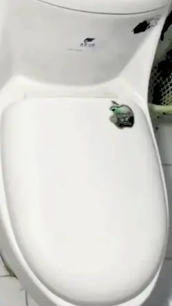 toilet pembuang