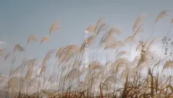 秋のよみがえる記憶
