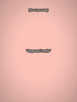 dogs can't smile