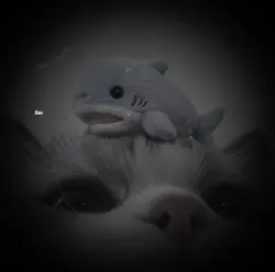 Noi Doi