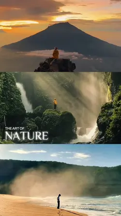 the art of nature