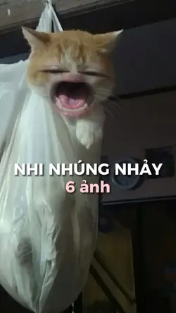 nhi nhúng nhảy 