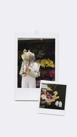 polaroid 
