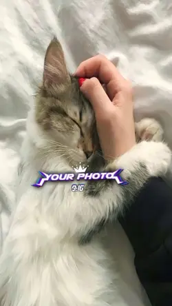 You broke me first 