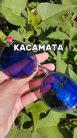 review produk 